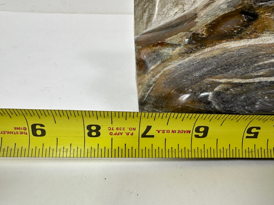 Just Added - Organic Glossy Petrified Wood Sculpture 7'H [Photo 5]