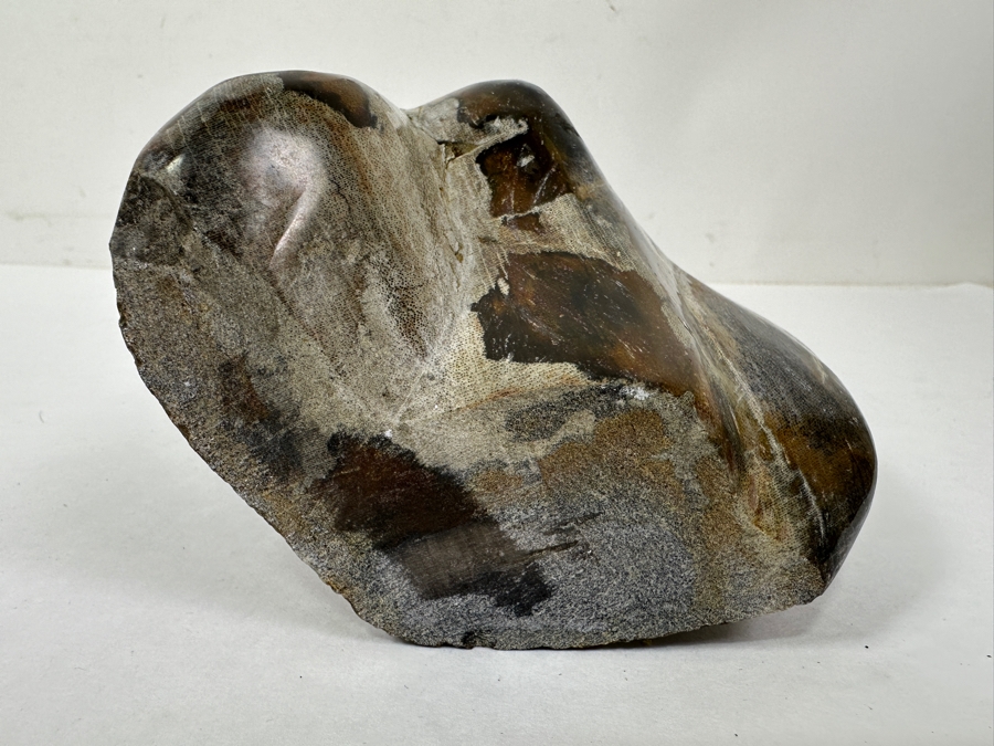 Just Added - Organic Glossy Petrified Wood Sculpture 7'H [Photo 4]