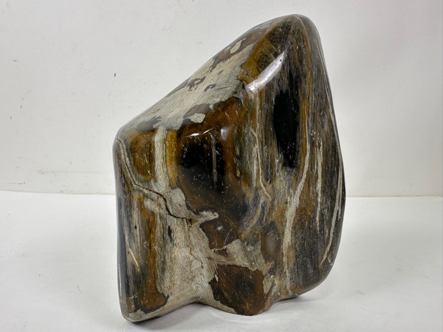 Just Added - Organic Glossy Petrified Wood Sculpture 7'H [Photo 2]