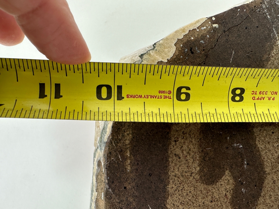 Just Added - Stunning Cluster Of Golden-Brown Citrine Crystals 10.5' X 8.5' [Photo 7]