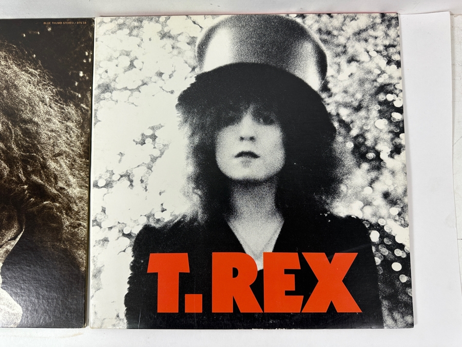 Just Added - (3) Tyrannosaurus Rex Vinyl Records [Photo 5]