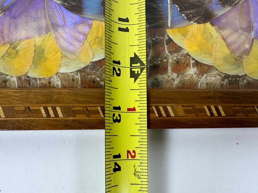 Decorative Tray Featuring A Kaleidoscope Of Real Butterfly Wings Framed In Wood 20'W x 13'W [Photo 11]
