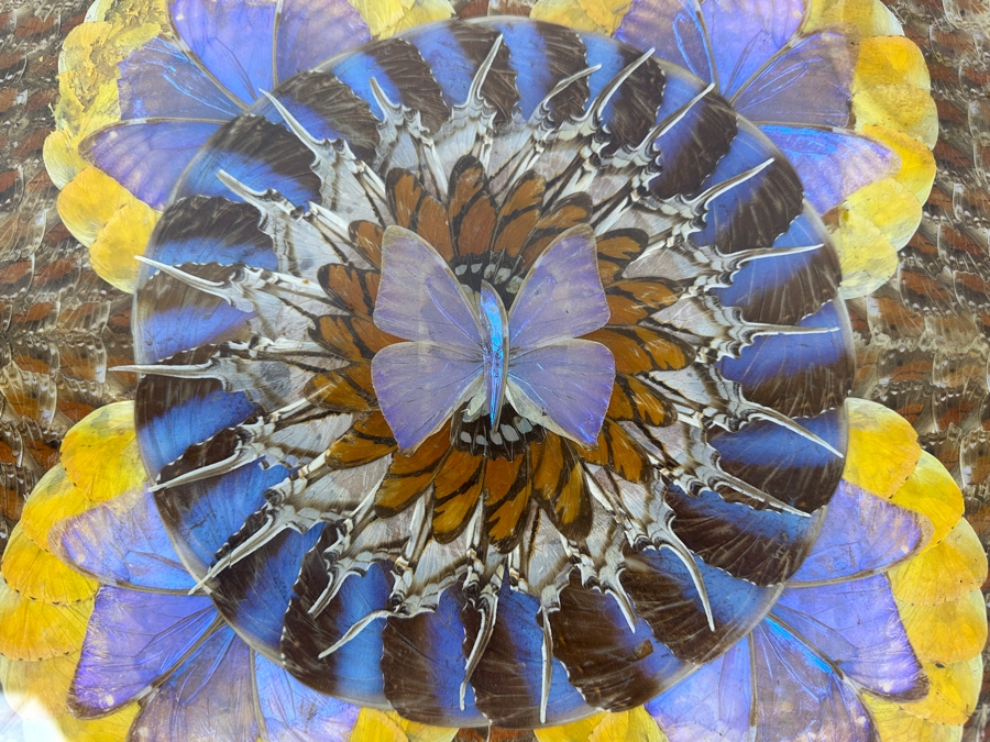Decorative Tray Featuring A Kaleidoscope Of Real Butterfly Wings Framed In Wood 20'W x 13'W [Photo 5]