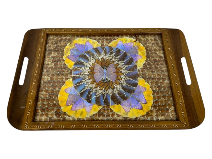 Decorative Tray Featuring A Kaleidoscope Of Real Butterfly Wings Framed In Wood 20'W x 13'W