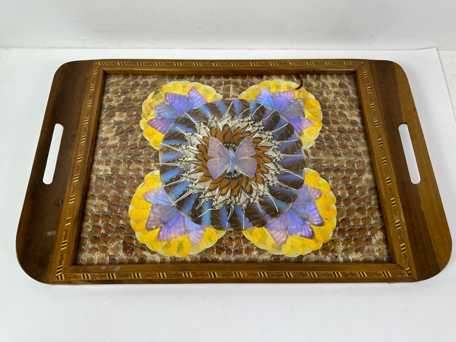 Decorative Tray Featuring A Kaleidoscope Of Real Butterfly Wings Framed In Wood 20'W x 13'W [Photo 3]