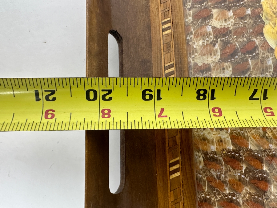 Decorative Tray Featuring A Kaleidoscope Of Real Butterfly Wings Framed In Wood 20'W x 13'W [Photo 10]