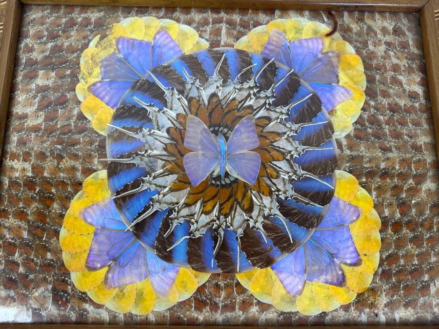 Decorative Tray Featuring A Kaleidoscope Of Real Butterfly Wings Framed In Wood 20'W x 13'W [Photo 4]