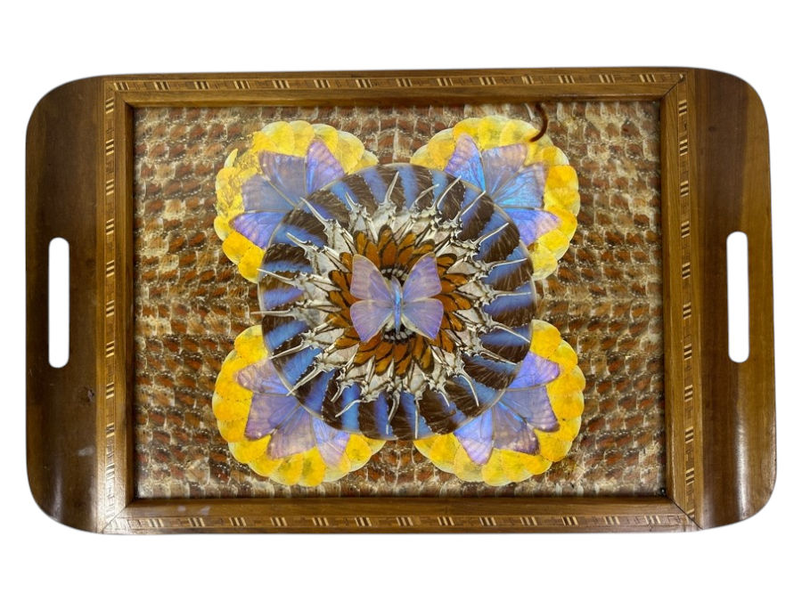 Decorative Tray Featuring A Kaleidoscope Of Real Butterfly Wings Framed In Wood 20'W x 13'W [Photo 2]