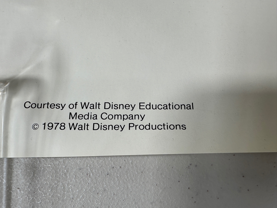 Last Minute Add - Vintage 1978 Walt Disney Education Read. Poster By The American Library Association 21' X 31.5' [Photo 5]