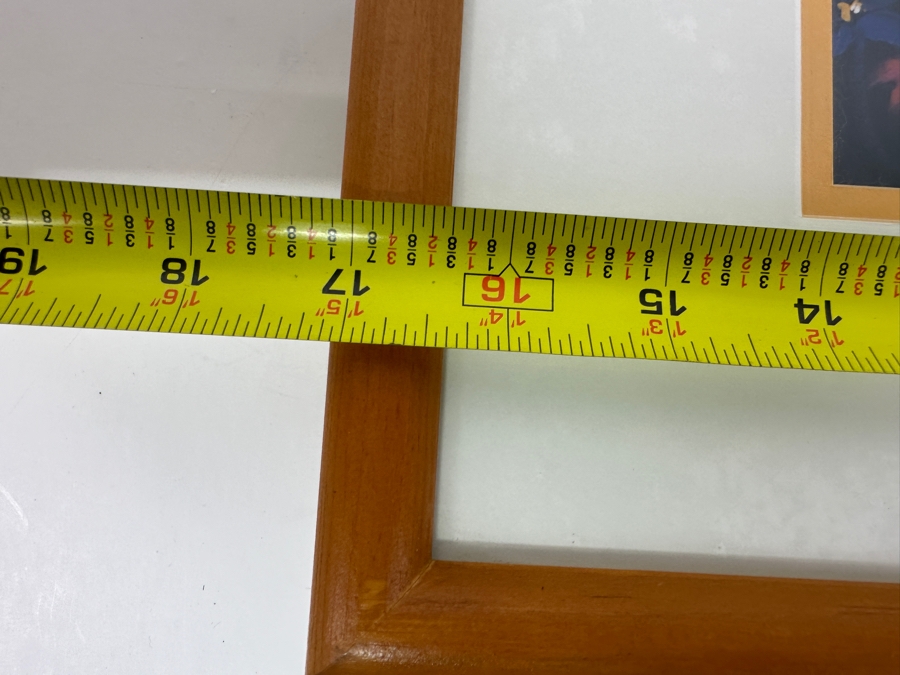 Eeyore By Eric Robison - 1996 Disney Gallery Special Event Print 10 X 13 Framed 17 X 20 [Photo 8]