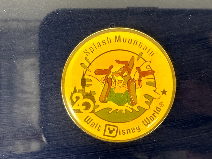 Walt Disney World Pin Set 1991 Commemorating The 20th Anniversary Of Walt Disney World 15 X 12 [Photo 8]