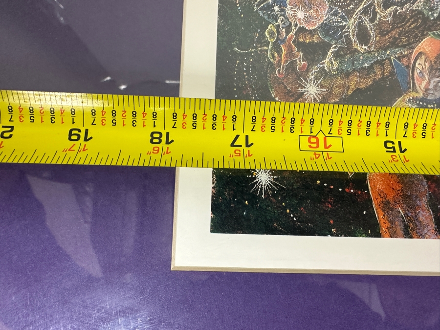 Light Magic Parade Poster By Charles Boyer 1997 Commemorating The Opening Year Framed 28 X 26 [Photo 11]