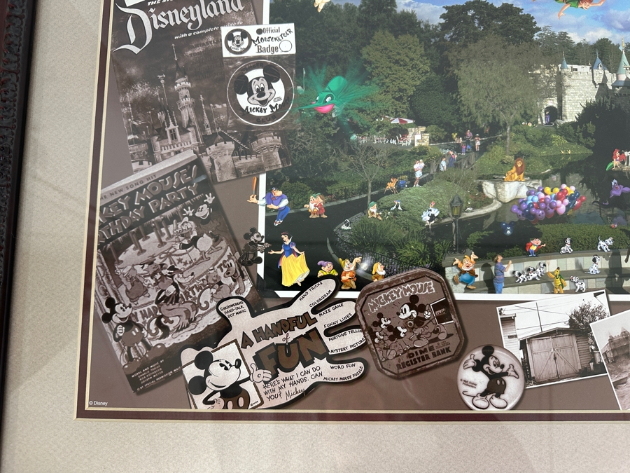 Disneyana Convention Poster - Convention Held At The Disneyland Hotel In 2001 36 X 16 Framed 42 X 23 [Photo 8]