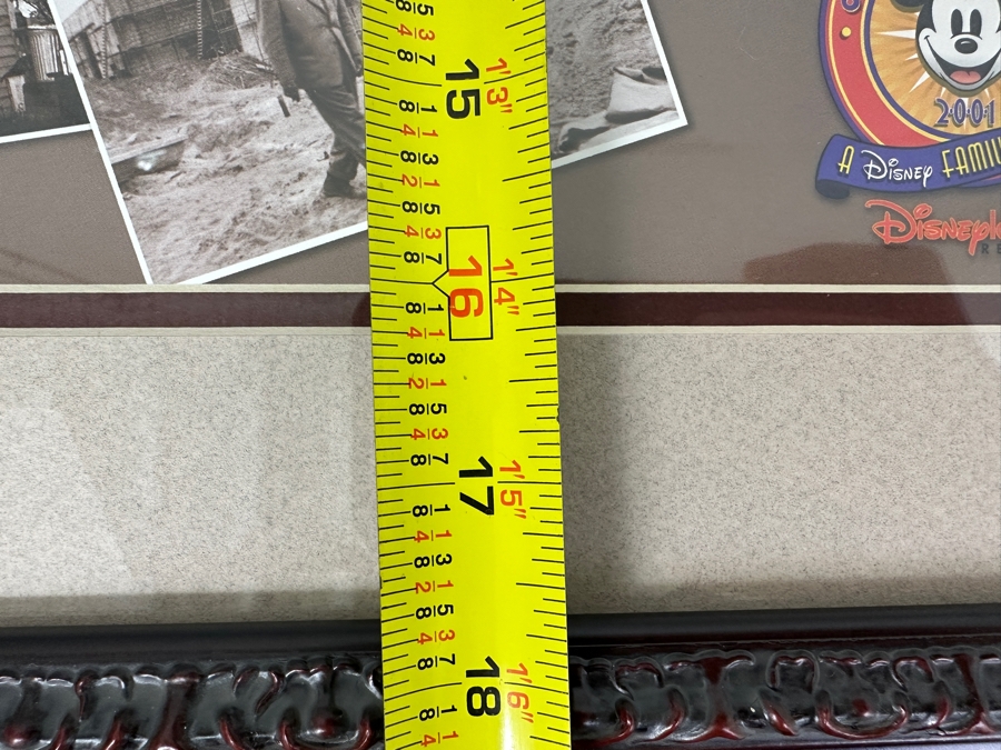 Disneyana Convention Poster - Convention Held At The Disneyland Hotel In 2001 36 X 16 Framed 42 X 23 [Photo 10]