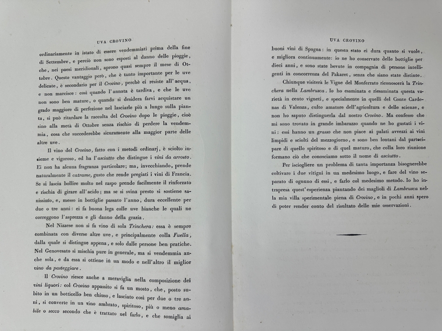 RARE Giorgio Gallesio (1772-1839, Italian Botanist) Pomona Italiana, Ossia Trattato Degli Alberi Fruttiferi (Treatise On Fruit Trees) Original Antique Hand-Colored Engraving Of Grapes From Folio Incl Text Describing Fruit Framed 13.5 X 19 RARE $600+
 [Photo 12]