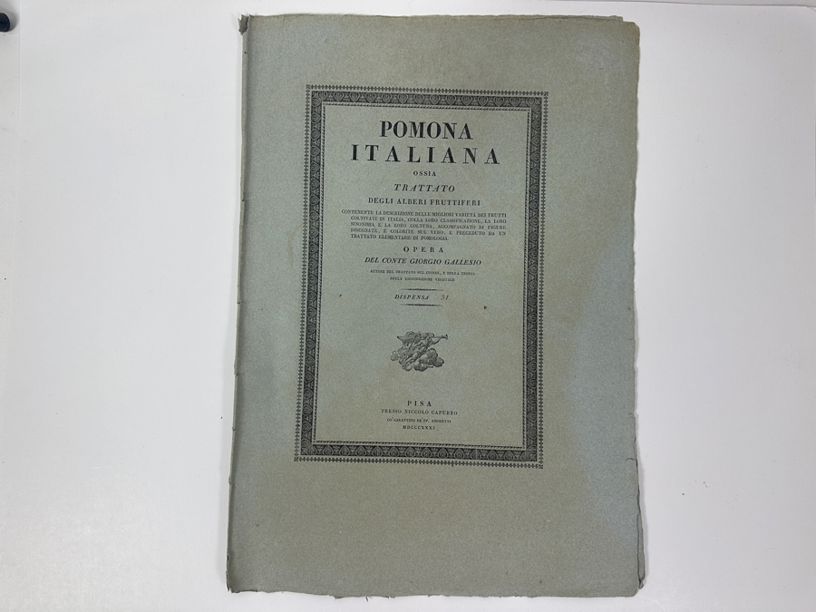 RARE Giorgio Gallesio (1772-1839, Italian Botanist) Pomona Italiana, Ossia Trattato Degli Alberi Fruttiferi (Treatise On Fruit Trees) Original Antique Hand-Colored Engraving Of Grapes From Folio Incl Text Describing Fruit Framed 13.5 X 19 RARE $600+
 [Photo 7]