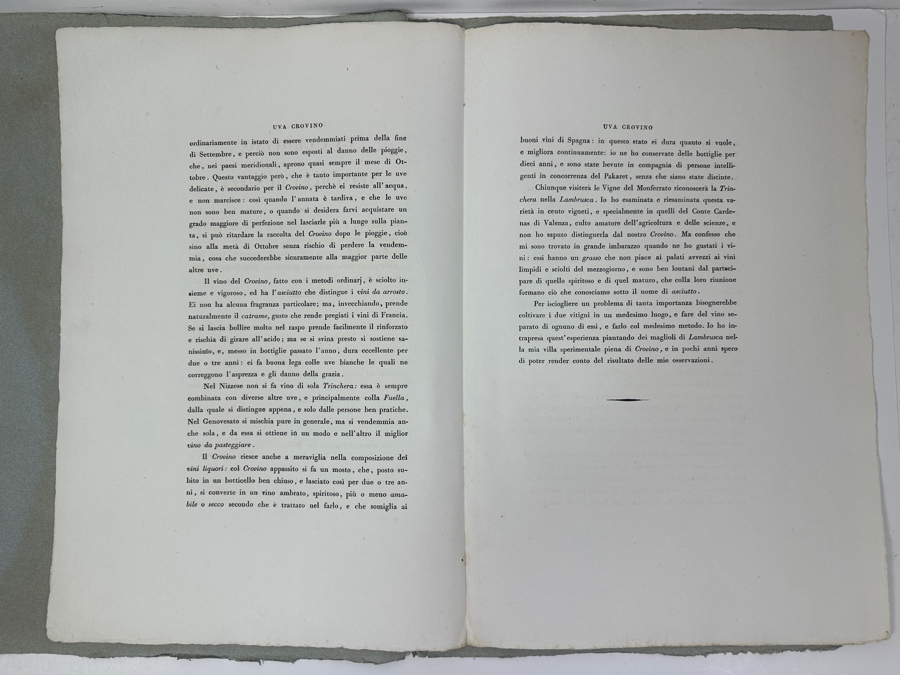 RARE Giorgio Gallesio (1772-1839, Italian Botanist) Pomona Italiana, Ossia Trattato Degli Alberi Fruttiferi (Treatise On Fruit Trees) Original Antique Hand-Colored Engraving Of Grapes From Folio Incl Text Describing Fruit Framed 13.5 X 19 RARE $600+
 [Photo 11]