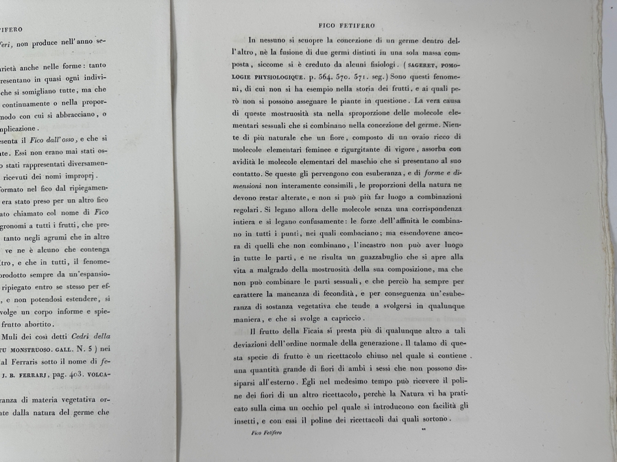 RARE Giorgio Gallesio (1772-1839, Italian Botanist) Pomona Italiana, Ossia Trattato Degli Alberi Fruttiferi (Treatise On Fruit Trees) Original Antique Hand-Colored Engraving Of Bird Eating Fig Fruit From Folio With Text Framed 13.5 X 19 RARE $600+ [Photo 20]