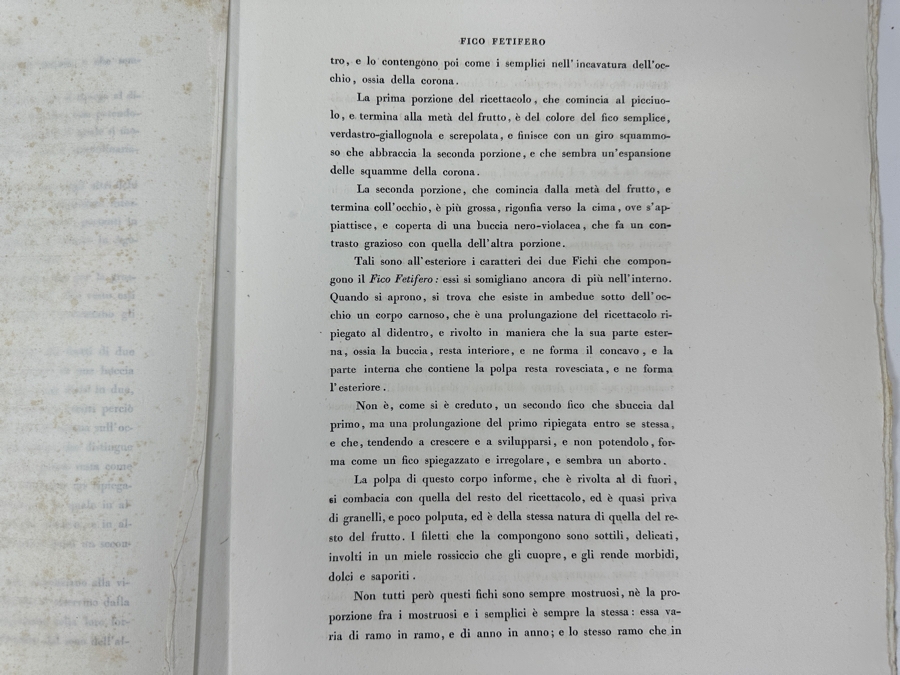 RARE Giorgio Gallesio (1772-1839, Italian Botanist) Pomona Italiana, Ossia Trattato Degli Alberi Fruttiferi (Treatise On Fruit Trees) Original Antique Hand-Colored Engraving Of Bird Eating Fig Fruit From Folio With Text Framed 13.5 X 19 RARE $600+ [Photo 18]