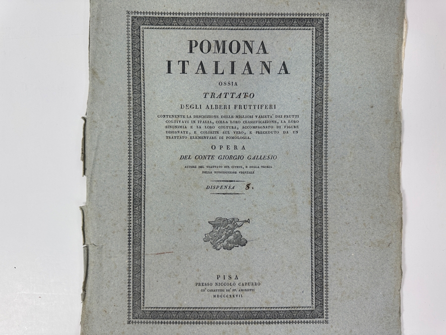 RARE Giorgio Gallesio (1772-1839, Italian Botanist) Pomona Italiana, Ossia Trattato Degli Alberi Fruttiferi (Treatise On Fruit Trees) Original Antique Hand-Colored Engraving Of Bird Eating Fig Fruit From Folio With Text Framed 13.5 X 19 RARE $600+ [Photo 14]
