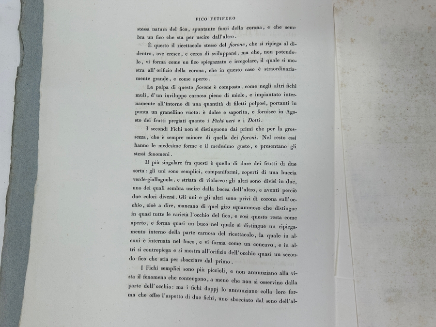 RARE Giorgio Gallesio (1772-1839, Italian Botanist) Pomona Italiana, Ossia Trattato Degli Alberi Fruttiferi (Treatise On Fruit Trees) Original Antique Hand-Colored Engraving Of Bird Eating Fig Fruit From Folio With Text Framed 13.5 X 19 RARE $600+ [Photo 17]