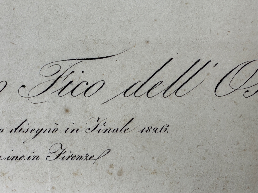 RARE Giorgio Gallesio (1772-1839, Italian Botanist) Pomona Italiana, Ossia Trattato Degli Alberi Fruttiferi (Treatise On Fruit Trees) Original Antique Hand-Colored Engraving Of Bird Eating Fig Fruit From Folio With Text Framed 13.5 X 19 RARE $600+ [Photo 13]