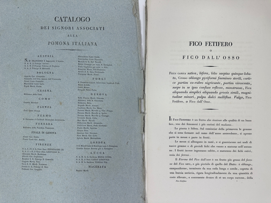 RARE Giorgio Gallesio (1772-1839, Italian Botanist) Pomona Italiana, Ossia Trattato Degli Alberi Fruttiferi (Treatise On Fruit Trees) Original Antique Hand-Colored Engraving Of Bird Eating Fig Fruit From Folio With Text Framed 13.5 X 19 RARE $600+ [Photo 15]