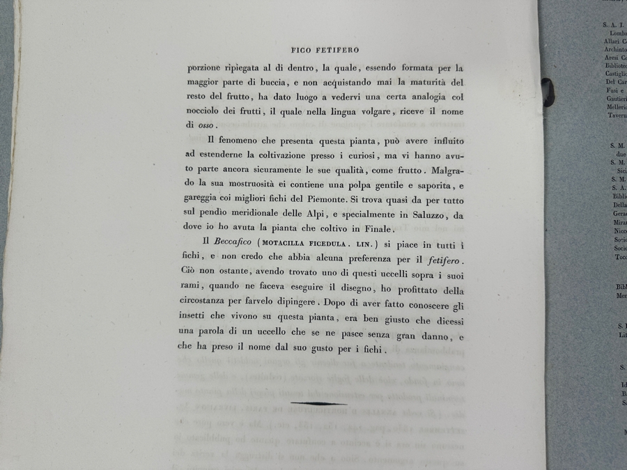 RARE Giorgio Gallesio (1772-1839, Italian Botanist) Pomona Italiana, Ossia Trattato Degli Alberi Fruttiferi (Treatise On Fruit Trees) Original Antique Hand-Colored Engraving Of Bird Eating Fig Fruit From Folio With Text Framed 13.5 X 19 RARE $600+ [Photo 24]