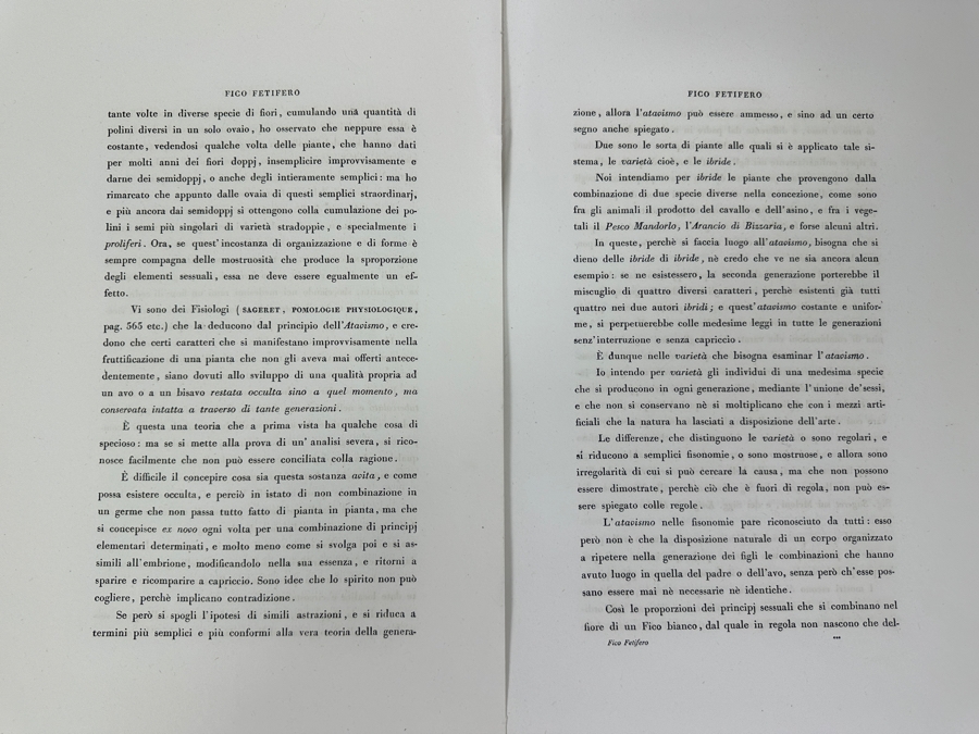 RARE Giorgio Gallesio (1772-1839, Italian Botanist) Pomona Italiana, Ossia Trattato Degli Alberi Fruttiferi (Treatise On Fruit Trees) Original Antique Hand-Colored Engraving Of Bird Eating Fig Fruit From Folio With Text Framed 13.5 X 19 RARE $600+ [Photo 22]