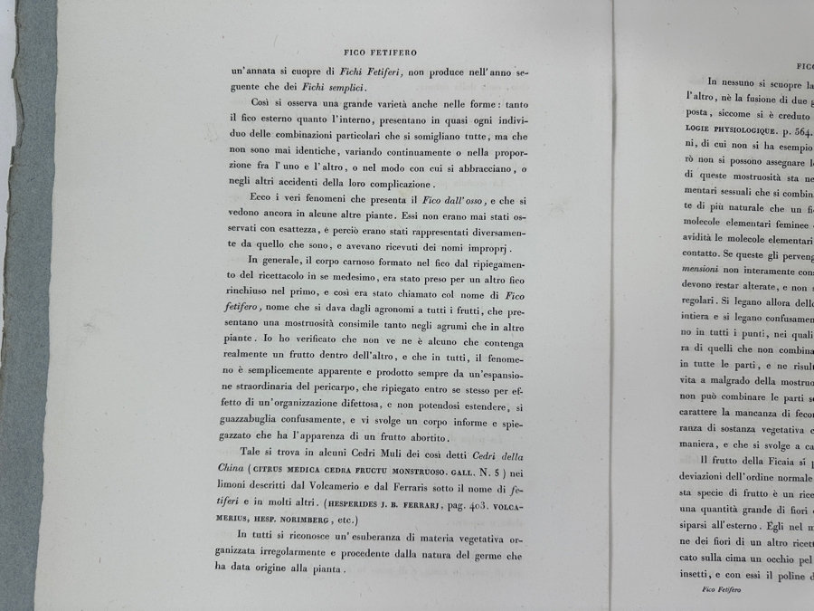 RARE Giorgio Gallesio (1772-1839, Italian Botanist) Pomona Italiana, Ossia Trattato Degli Alberi Fruttiferi (Treatise On Fruit Trees) Original Antique Hand-Colored Engraving Of Bird Eating Fig Fruit From Folio With Text Framed 13.5 X 19 RARE $600+ [Photo 19]