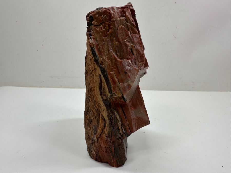 Just Added - Chunk Of Petrified Wood 7'H [Photo 3]