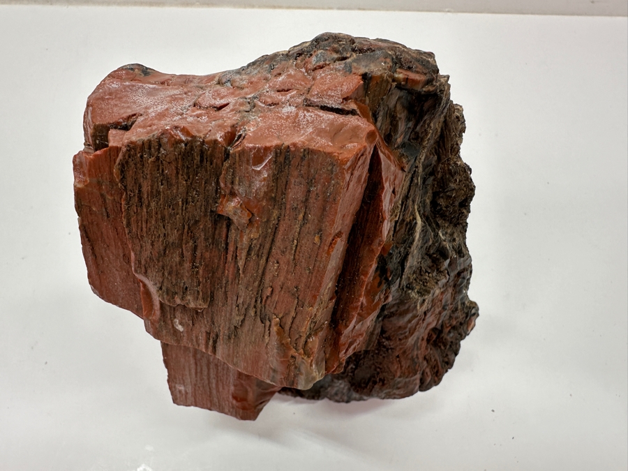Just Added - Chunk Of Petrified Wood 7'H [Photo 2]