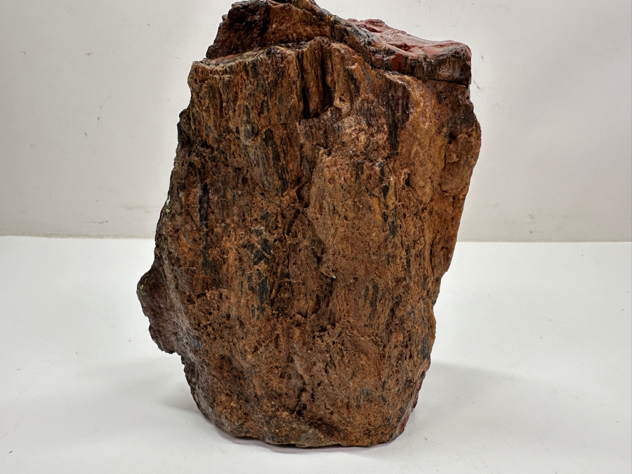 Just Added - Chunk Of Petrified Wood 7'H [Photo 4]