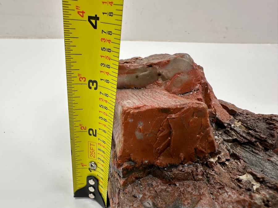 Just Added - Chunk Of Petrified Wood 7'H [Photo 8]
