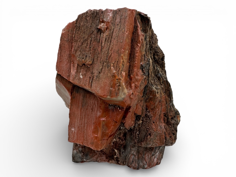 Just Added - Chunk Of Petrified Wood 7'H