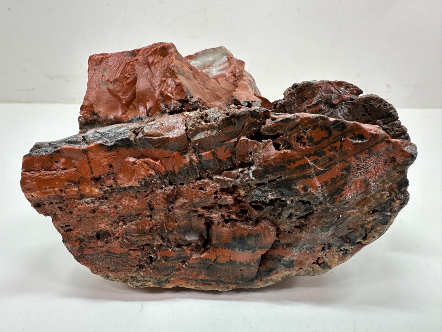Just Added - Chunk Of Petrified Wood 7'H [Photo 5]
