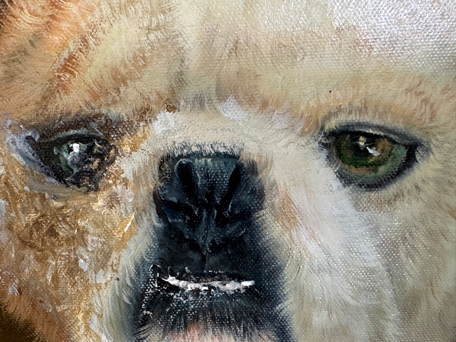 'The General' Dog Original Artwork On Canvas 20' x 24' Framed: 32' x 36' [Photo 7]