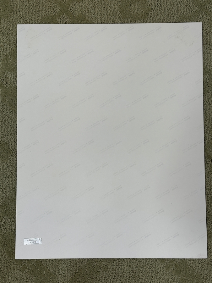 Large Hand Signed Magic Johnson NBA Hoops Basketball Photograph 16' X 20' [Photo 7]