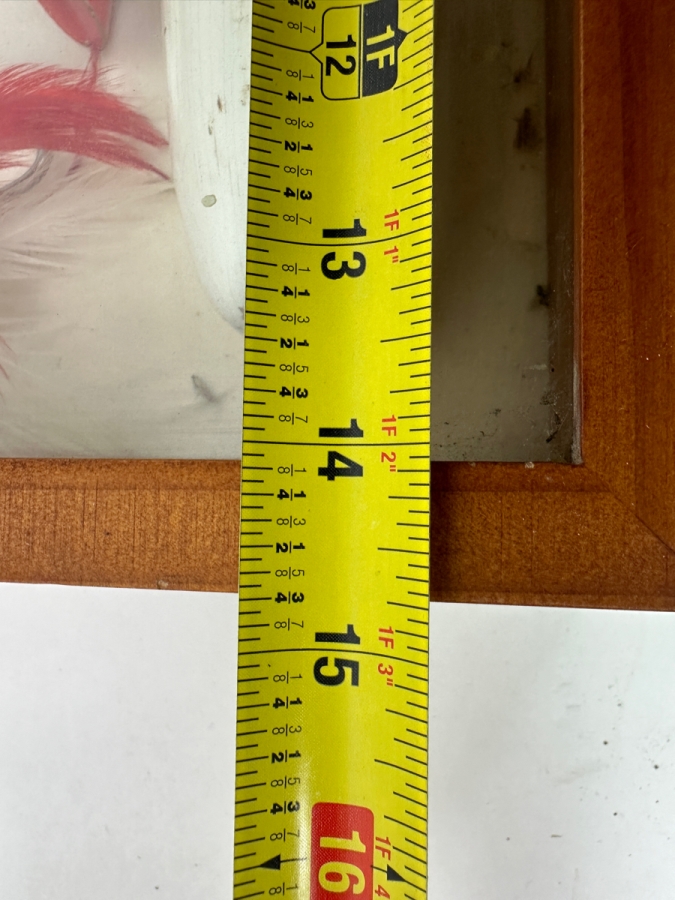 Antique/Vintage Wooden Fishing Lures And Tackle Displayed In Wooden Shadow Box 15'W x 12'H x 3'D [Photo 12]