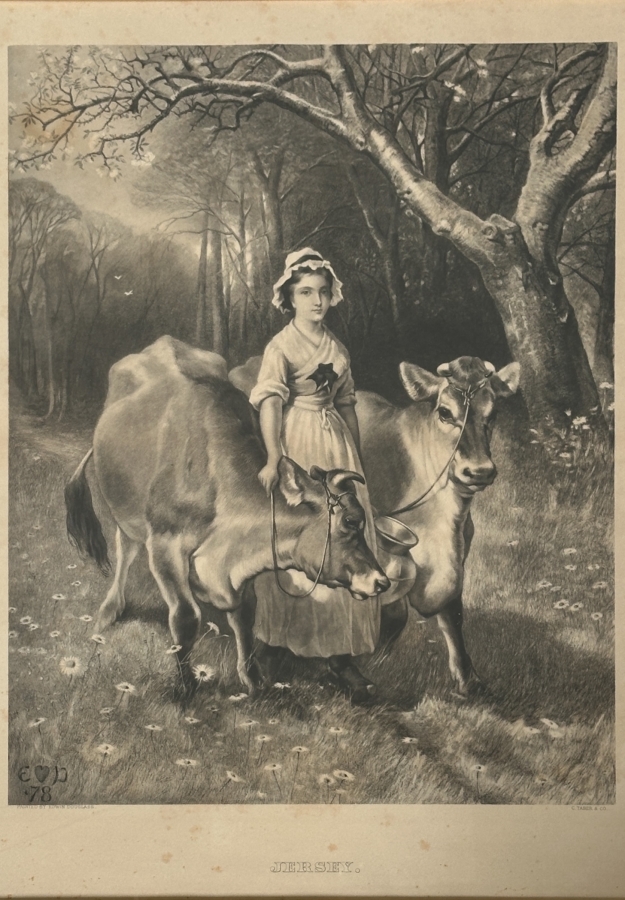 Just Added - Engraving After A Painting By Edwin Douglas Titled 'Jersey', Engraved By A. C. Alais 16 X 20 Framed 25 X 30