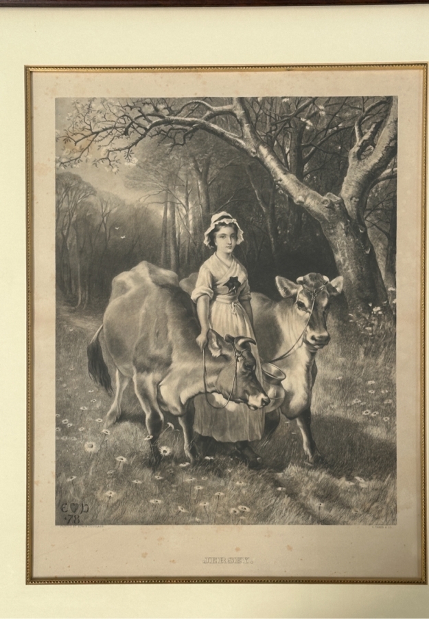 Just Added - Engraving After A Painting By Edwin Douglas Titled 'Jersey', Engraved By A. C. Alais 16 X 20 Framed 25 X 30 [Photo 3]