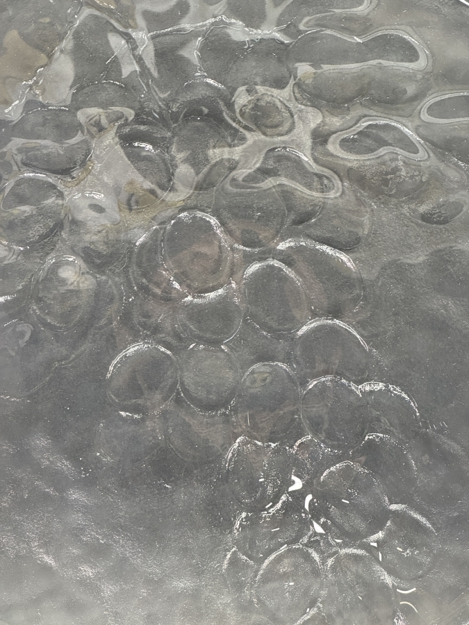 Just Added - Vintage Kosta Boda 'Grape' Shallow Bowl, Swedish Art Glass Designed By Ann Wärff 13.5'W [Photo 3]