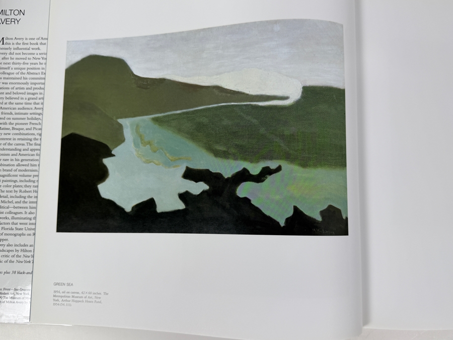 Hardcover Art Book Milton Avery By Robert Hobbs Second Printing 1990 [Photo 5]