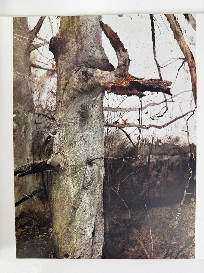 First Printing Hardcover Art Book Andrew Wyeth By Richard Meryman [Photo 13]