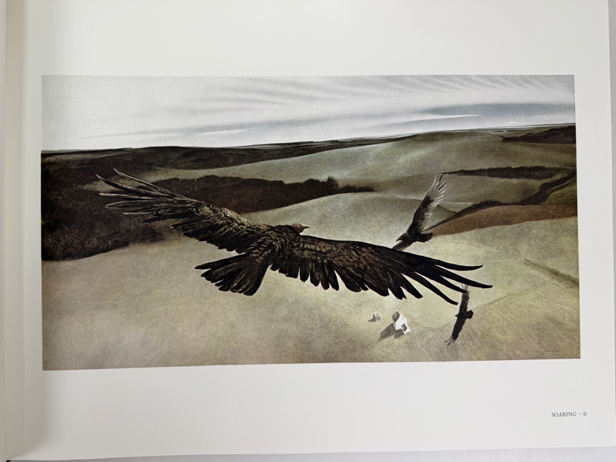 First Printing Hardcover Art Book Andrew Wyeth By Richard Meryman [Photo 7]