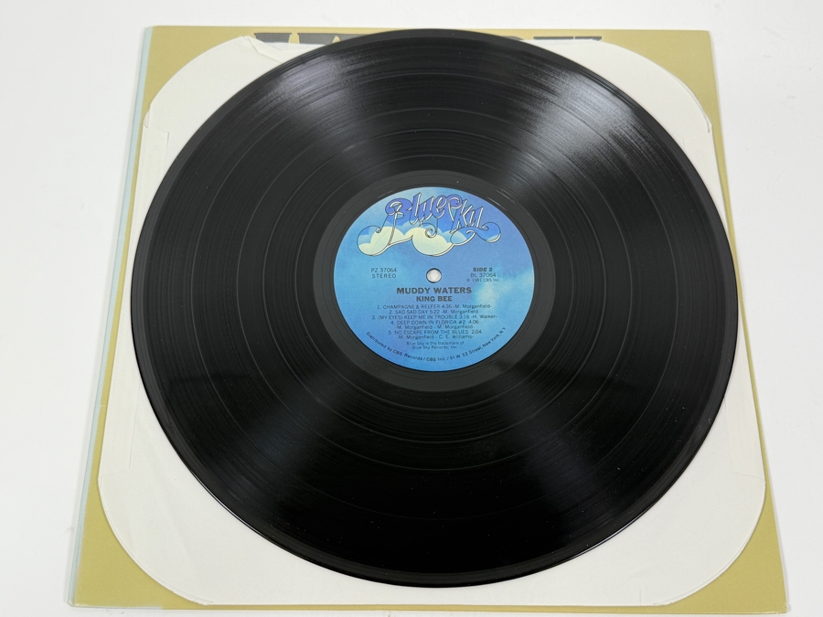 Muddy Waters - King Bee, Blue Sky PZ 37064 AL 37064, 1981, Vinyl Record [Photo 5]