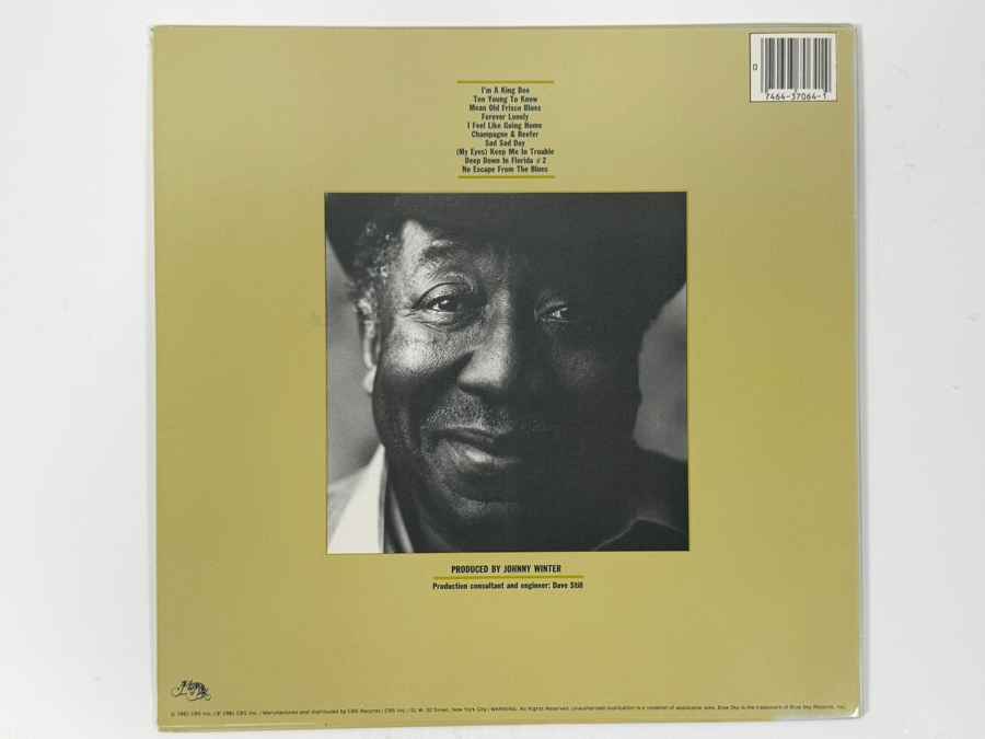 Muddy Waters - King Bee, Blue Sky PZ 37064 AL 37064, 1981, Vinyl Record [Photo 2]