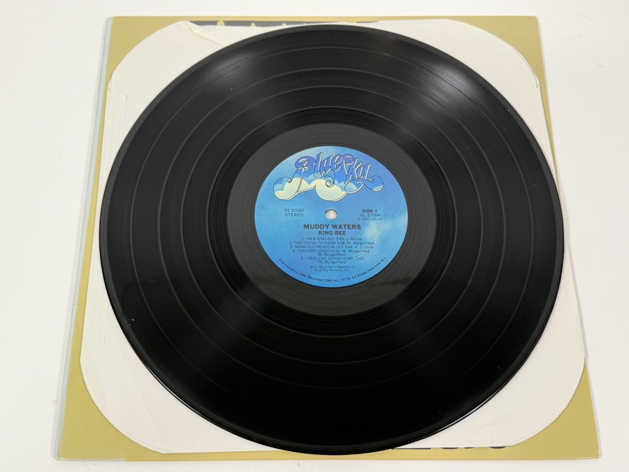 Muddy Waters - King Bee, Blue Sky PZ 37064 AL 37064, 1981, Vinyl Record [Photo 3]