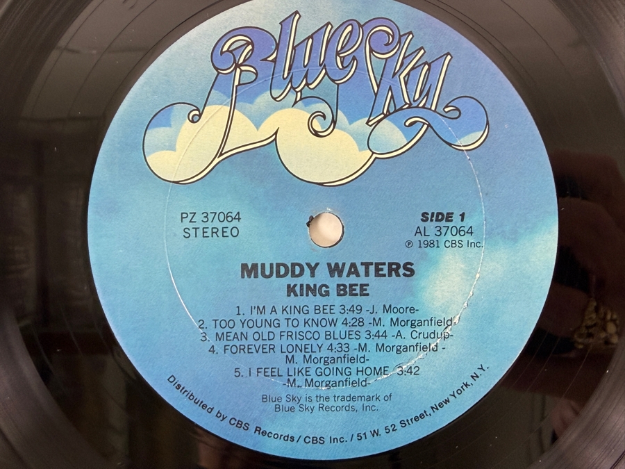 Muddy Waters - King Bee, Blue Sky PZ 37064 AL 37064, 1981, Vinyl Record [Photo 4]