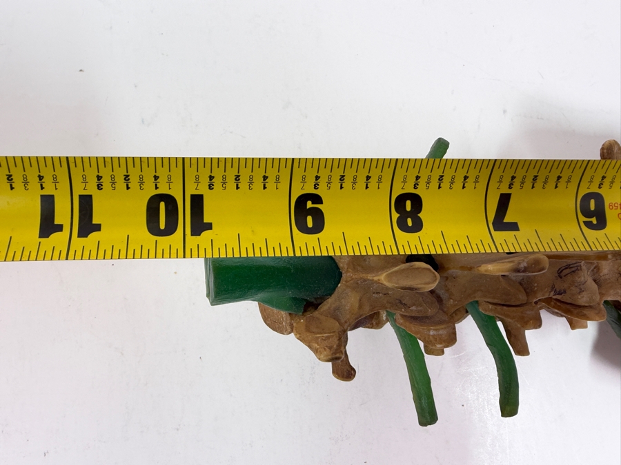 Educational Anatomical Model Of Human Lumbar Spine Vertebrae And Sacrum Featuring Intervertebral Discs And Green Tubing To Represent Spinal Nerve Roots 10'L [Photo 5]